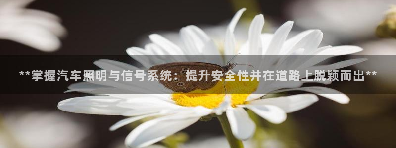 **掌握汽车照明与信号系统:提升安全性并在道路上脱颖而出**