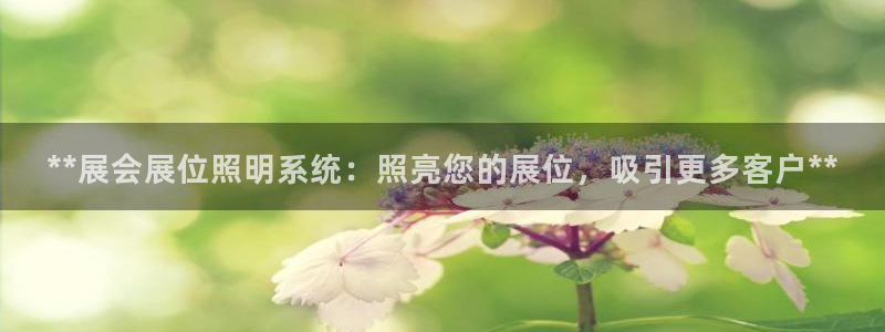 **展会展位照明系统：照亮您的展位，吸引更多客户**