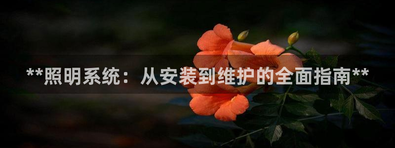 **照明系统：从安装到维护的全面指南**