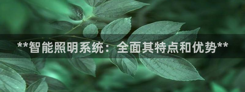 **智能照明系统：全面其特点和优势**