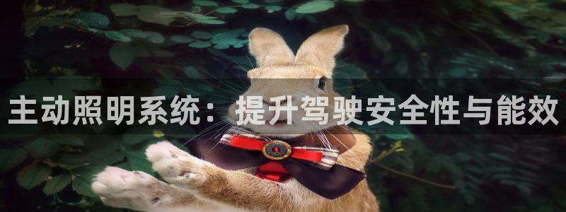 主动照明系统：提升驾驶安全性与能效