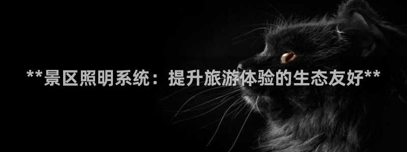 **景区照明系统：提升旅游体验的生态友好**