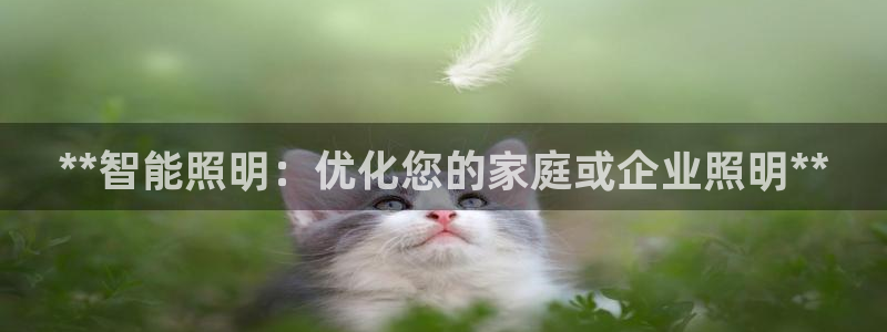 **智能照明：优化您的家庭或企业照明**