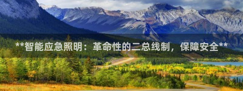 **智能应急照明：革命性的二总线制，保障安全**