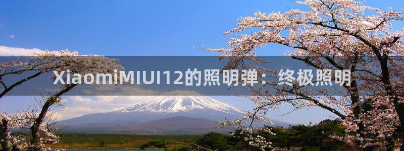 XiaomiMIUI12的照明弹：终极照明