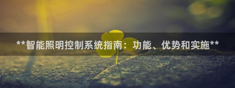 **智能照明控制系统指南：功能、优势和实施**
