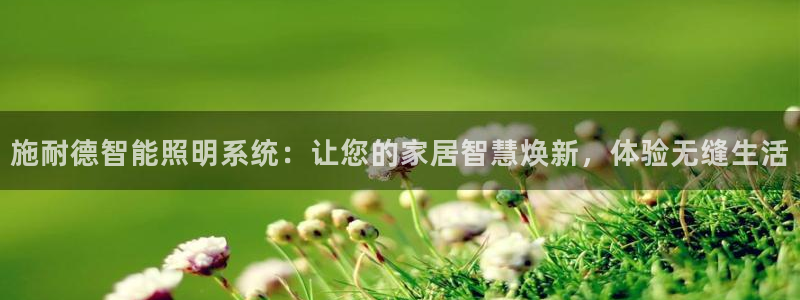 施耐德智能照明系统：让您的家居智慧焕新，体验无缝生活