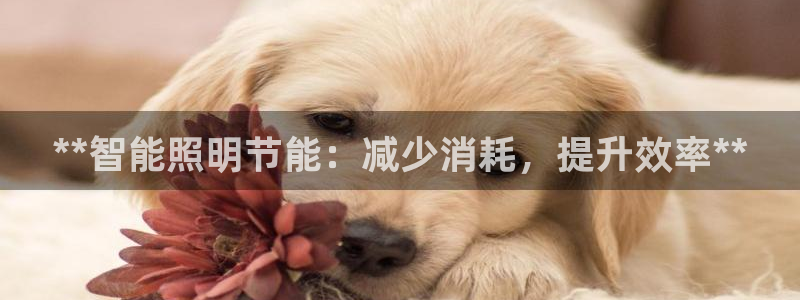 **智能照明节能：减少消耗，提升效率**