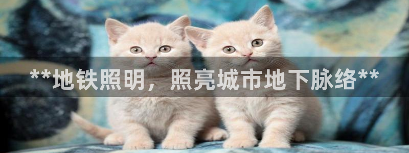 **地铁照明，照亮城市地下脉络**