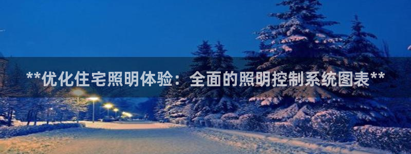 **优化住宅照明体验：全面的照明控制系统图表**