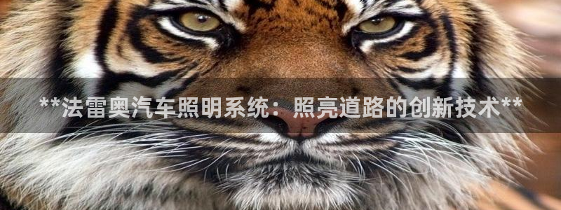 **法雷奥汽车照明系统：照亮道路的创新技术**