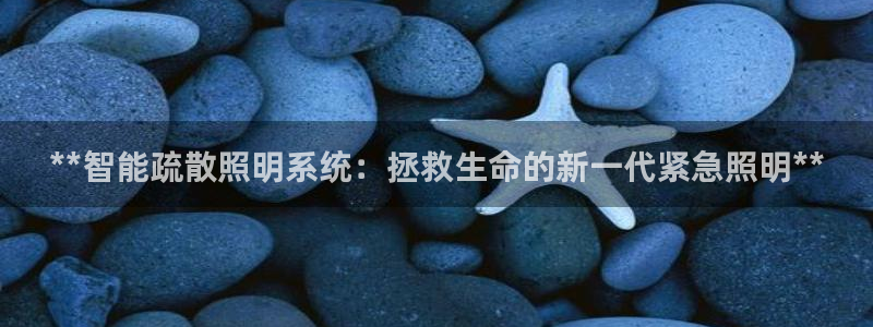 **智能疏散照明系统：拯救生命的新一代紧急照明**
