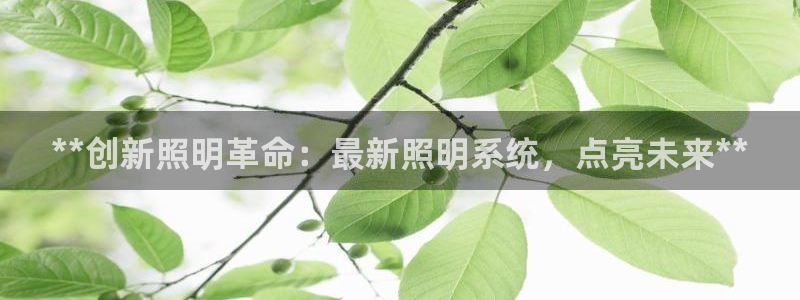 **创新照明革命：最新照明系统，点亮未来**
