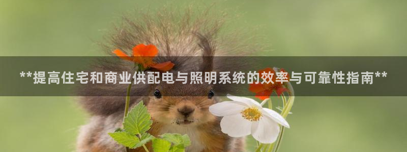 **提高住宅和商业供配电与照明系统的效率与可靠性指南**