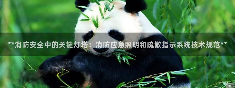 **消防安全中的关键灯塔：消防应急照明和疏散指示系统技术规范**