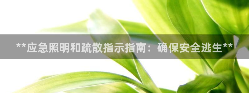 **应急照明和疏散指示指南：确保安全逃生**