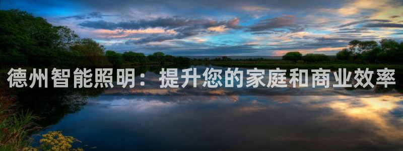 德州智能照明：提升您的家庭和商业效率