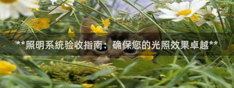 **照明系统验收指南：确保您的光照效果卓越**