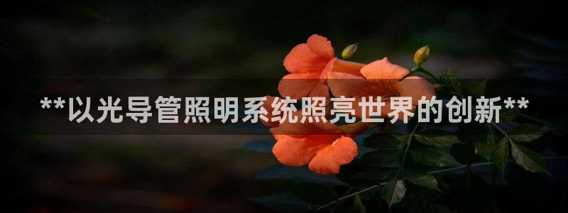**以光导管照明系统照亮世界的创新**