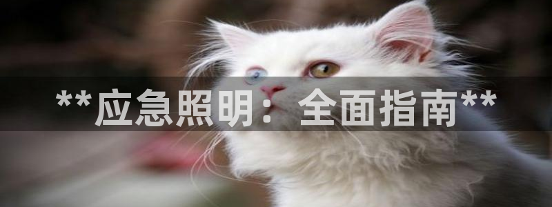 **应急照明：全面指南**