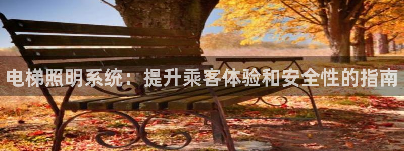 电梯照明系统：提升乘客体验和安全性的指南