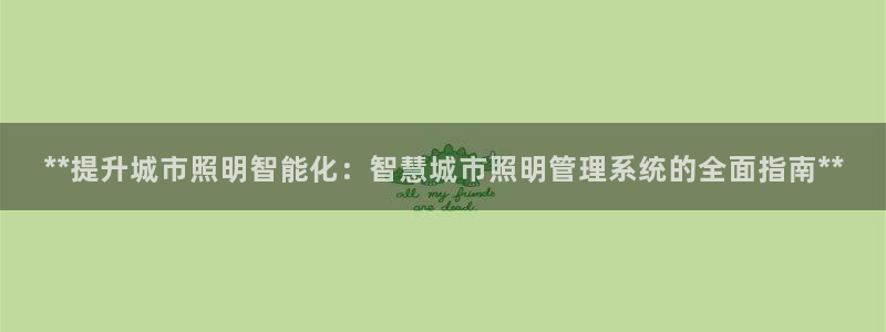 **提升城市照明智能化：智慧城市照明管理系统的全面指南**