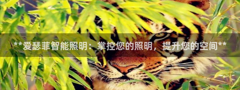 **爱瑟菲智能照明：掌控您的照明，提升您的空间**