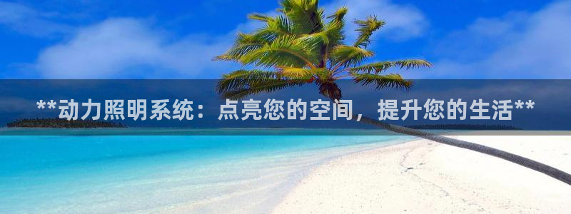 **动力照明系统：点亮您的空间，提升您的生活**