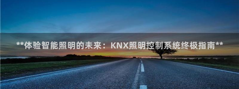 **体验智能照明的未来：KNX照明控制系统终极指南**