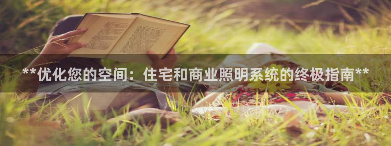 **优化您的空间：住宅和商业照明系统的终极指南**