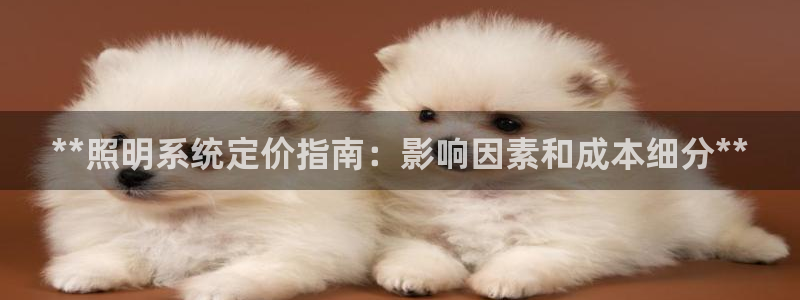 **照明系统定价指南：影响因素和成本细分**