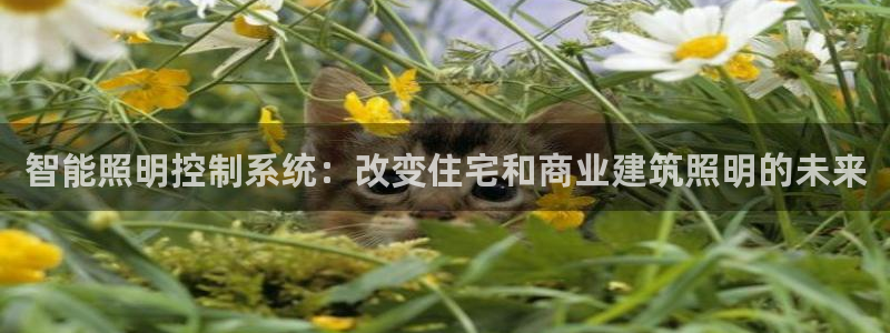 智能照明控制系统：改变住宅和商业建筑照明的未来