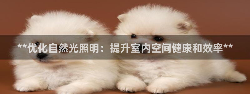 **优化自然光照明：提升室内空间健康和效率**