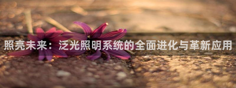 照亮未来：泛光照明系统的全面进化与革新应用