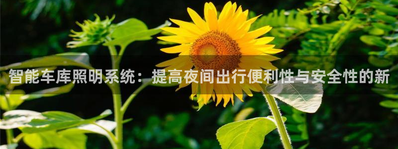 智能车库照明系统:提高夜间出行便利性与安全性的新
