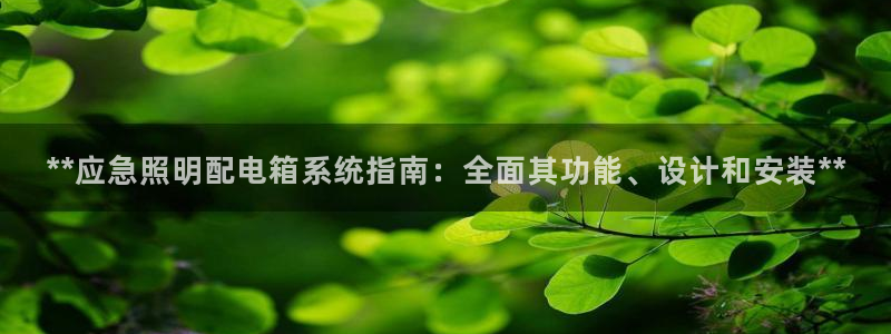 **应急照明配电箱系统指南:全面其功能、设计和安装**