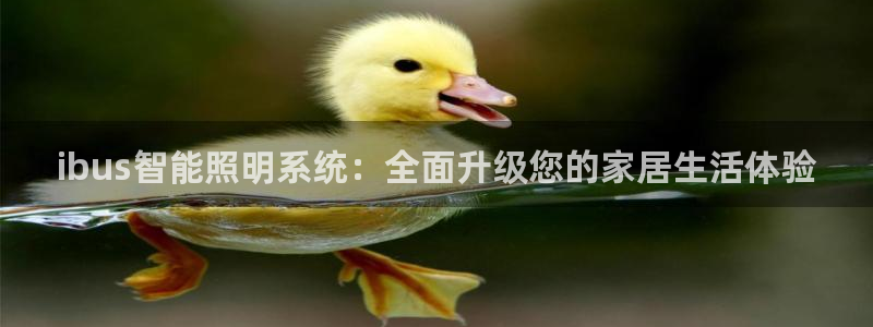 ibus智能照明系统:全面升级您的家居生活体验