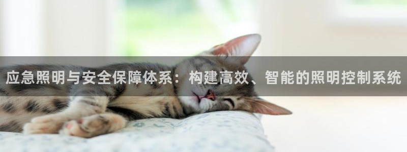 应急照明与安全保障体系:构建高效、智能的照明控制系统