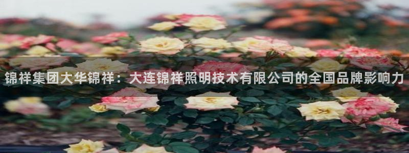 锦祥集团大华锦祥:大连锦祥照明技术有限公司的全国品牌影响力