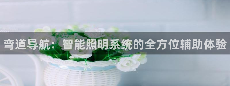 弯道导航:智能照明系统的全方位辅助体验