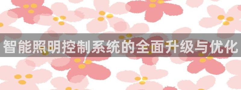 智能照明控制系统的全面升级与优化