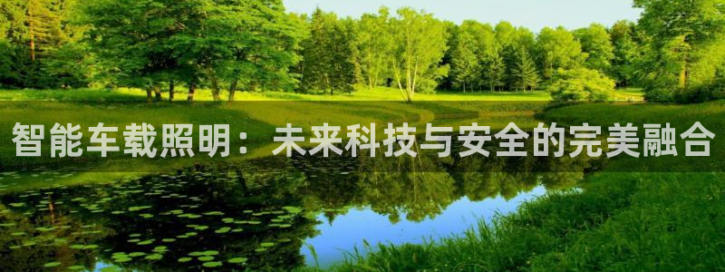 智能车载照明：未来科技与安全的完美融合