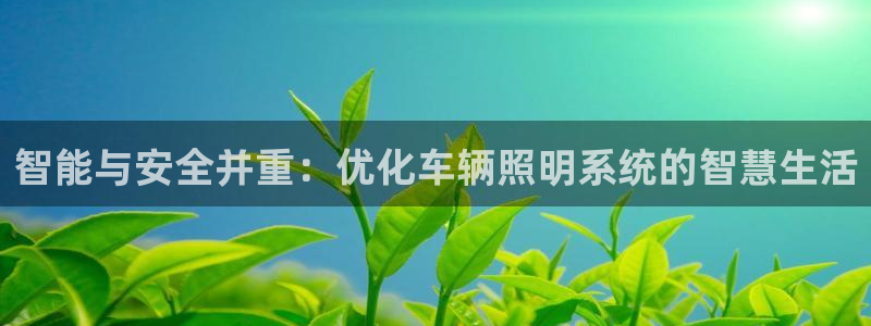 智能与安全并重:优化车辆照明系统的智慧生活