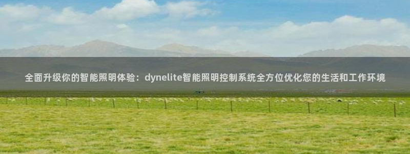 全面升级你的智能照明体验:dynelite智能照明控制系统全方位优化您的生活和工作环境