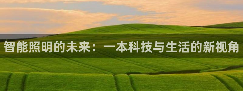 智能照明的未来：一本科技与生活的新视角