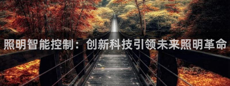 照明智能控制:创新科技引领未来照明革命