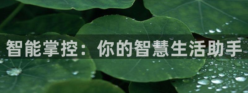智能掌控：你的智慧生活助手