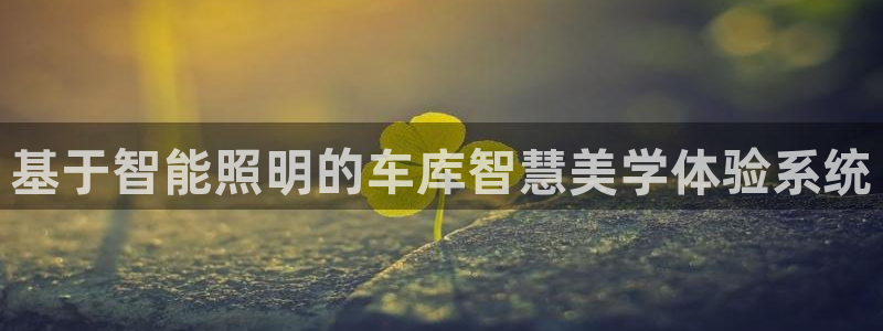 基于智能照明的车库智慧美学体验系统