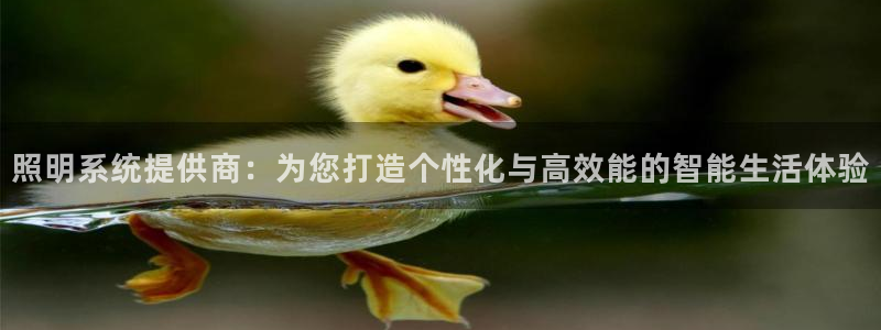 照明系统提供商：为您打造个性化与高效能的智能生活体验