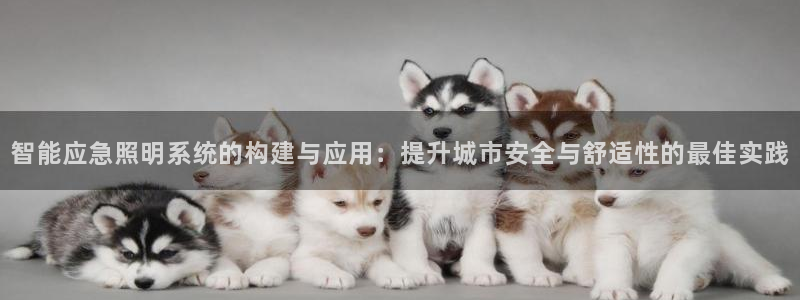 智能应急照明系统的构建与应用:提升城市安全与舒适性的最佳实践
